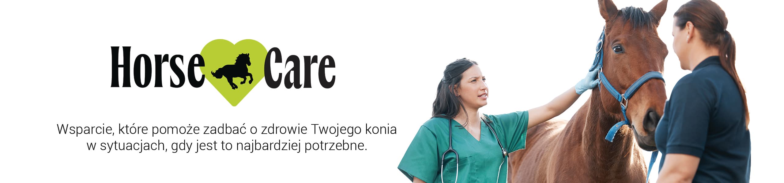 Horse Care
