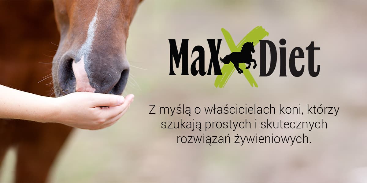 Maxx Diet