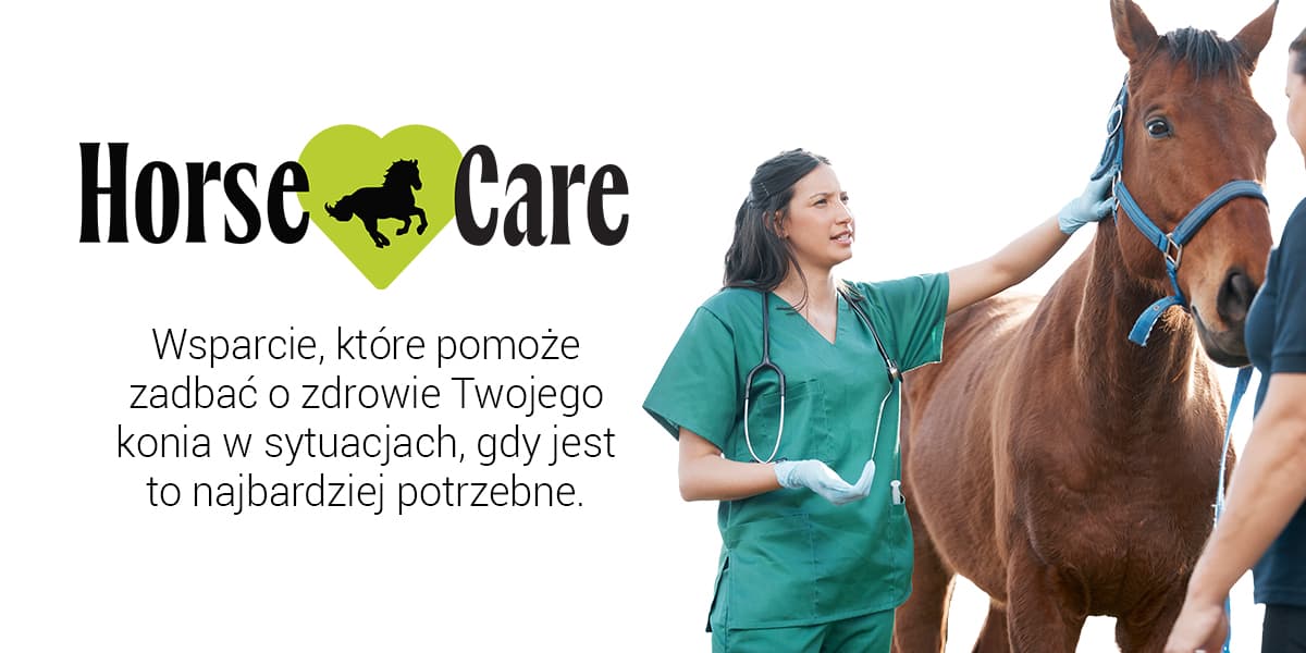 Horse Care