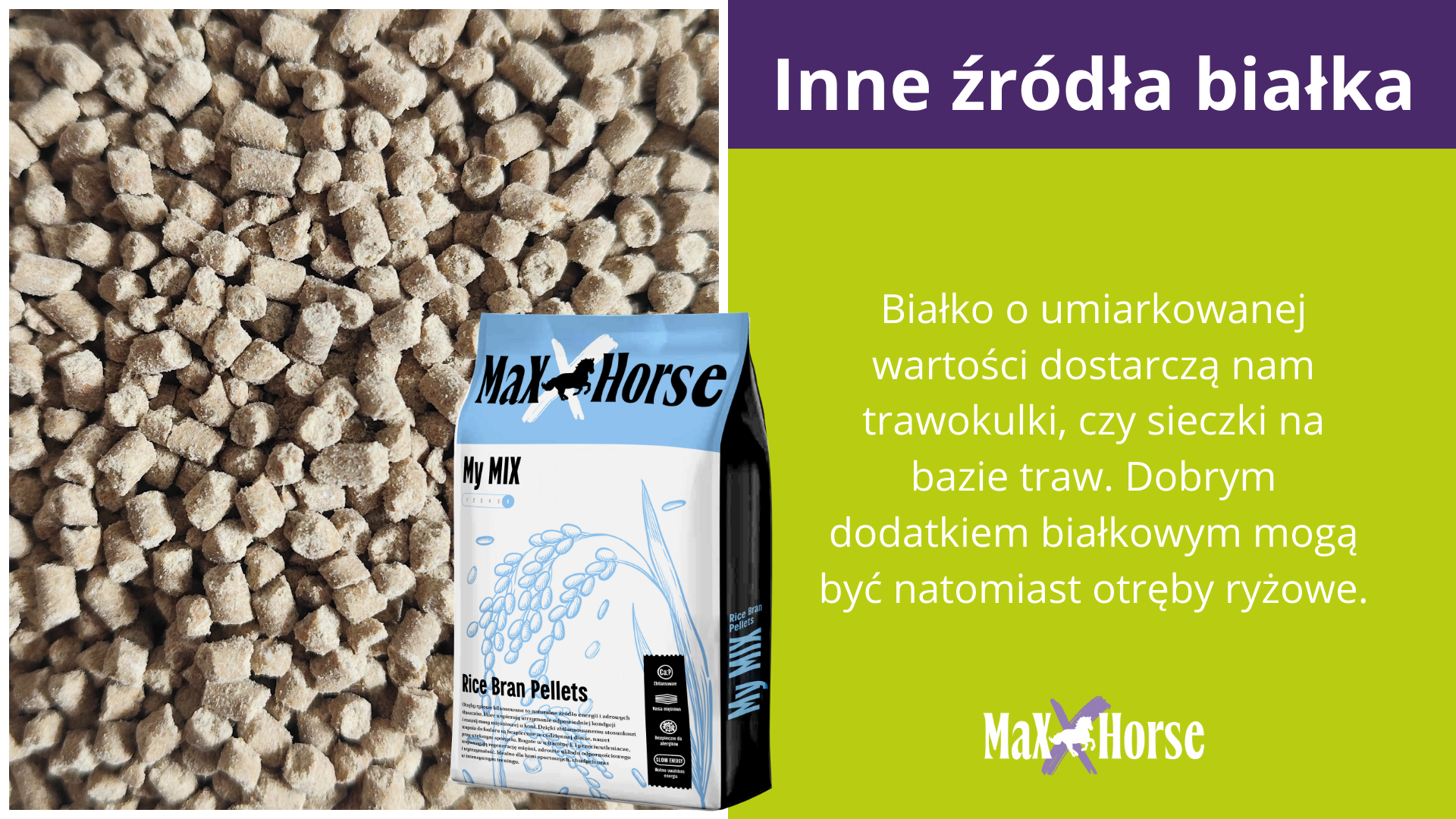 Inne źródła białka w diecie koni