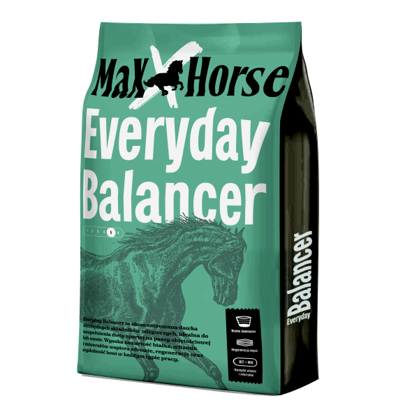 Everyday Balancer 20KG - obrazek 1