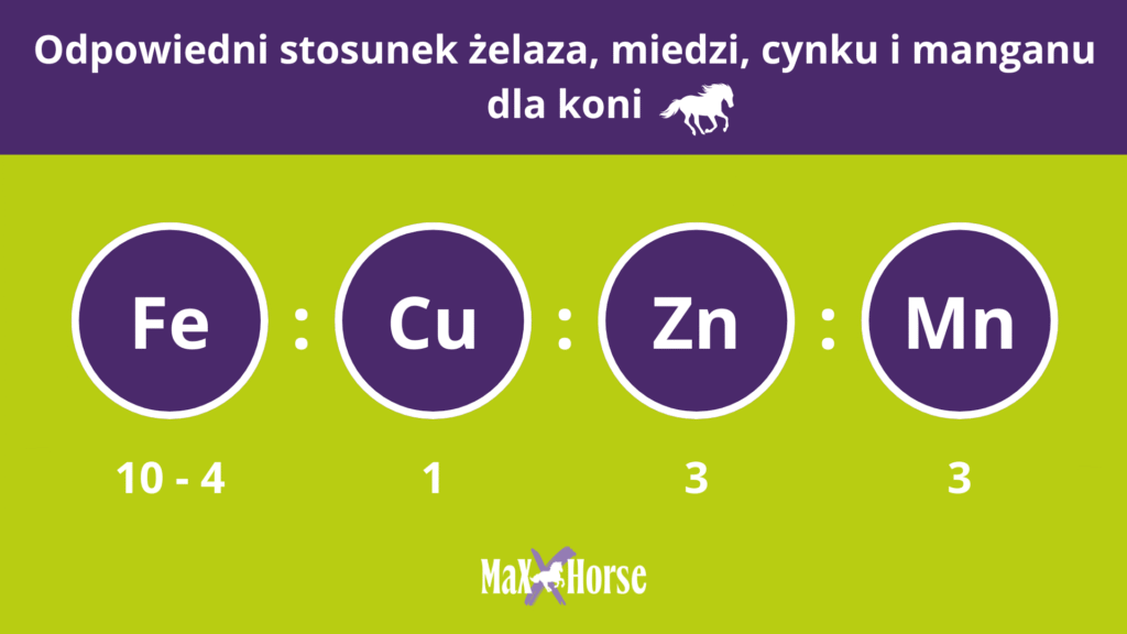 Odpowiedni stosunek żelaza, cynku, miedzi i manganu w diecie koni
