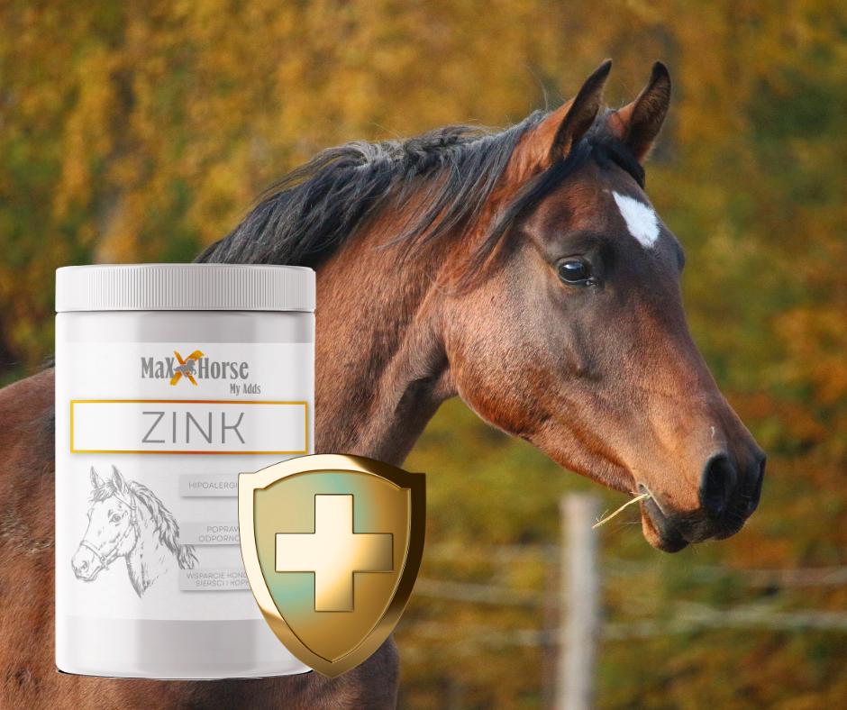 ZINK Mikroelementy: Cynk w diecie koni
