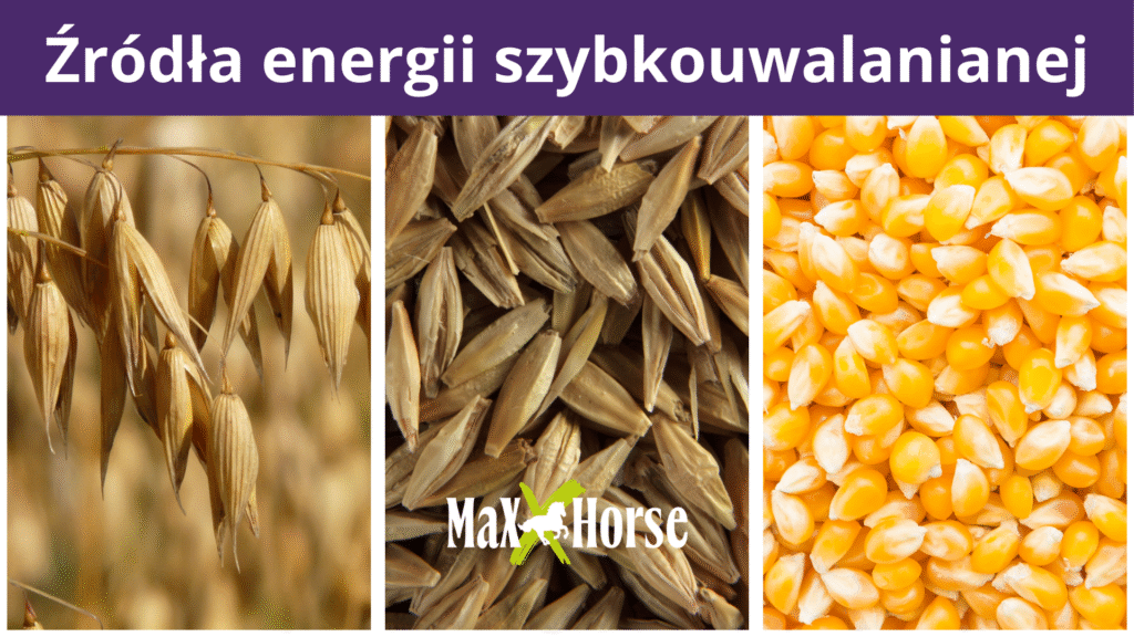 Energia szybkouwalniana dla koni