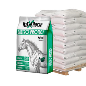 Gastro protect pasza dla koni wrzodowych paleta hurt