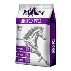 Pasza dla koni hodowlanych AMINO PRO