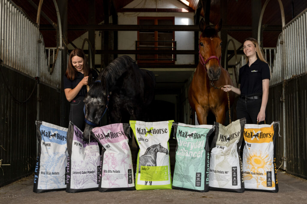 Ankieta żywieniowa konia Maxx Horse