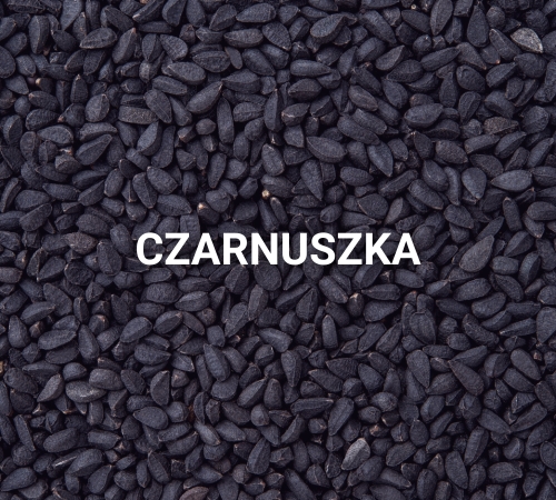 Czarnuszka dla koni