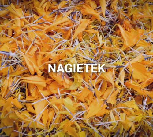 Nagietek dla koni
